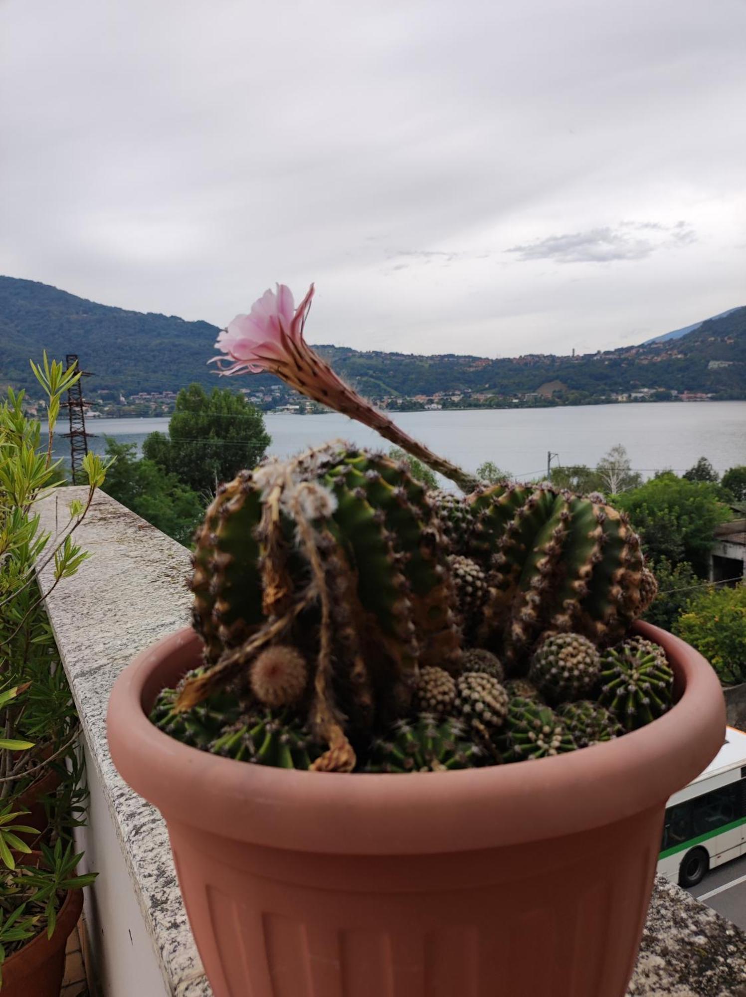 Terrazzo Sul Lago Лекко Экстерьер фото